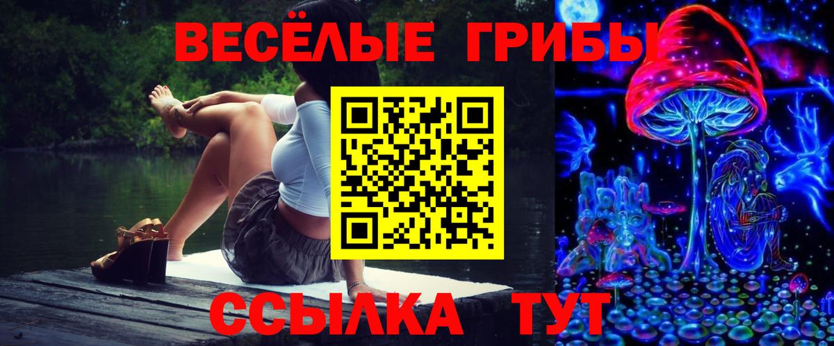 Псилоцибиновые грибы прущие грибы  Галлюциногенные грибы Psilocybine cubensis  Рославль  Вход с VPN 